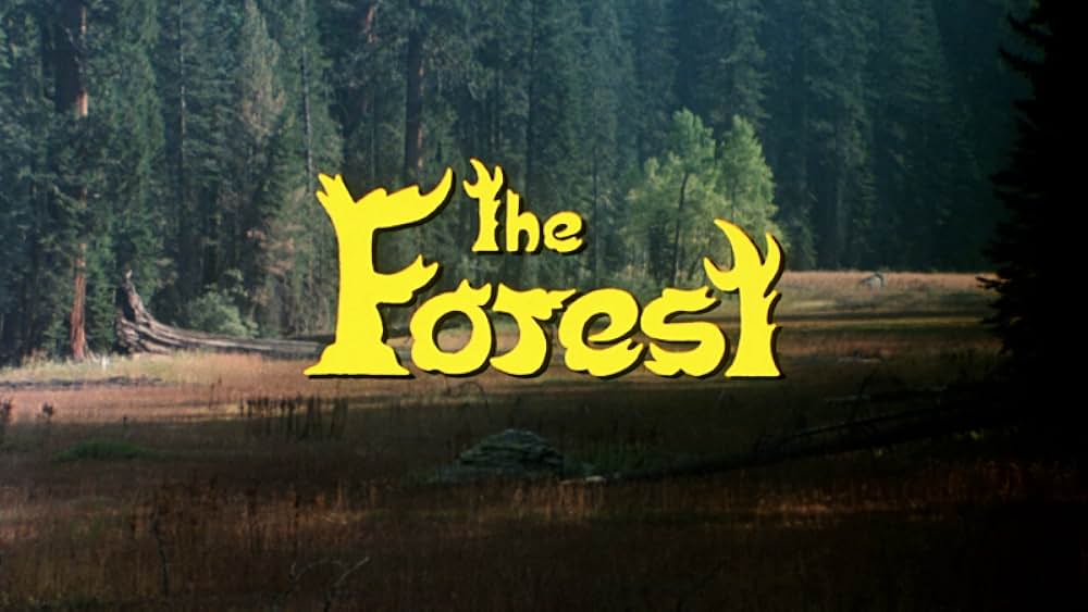 The Forest（原題）の画像