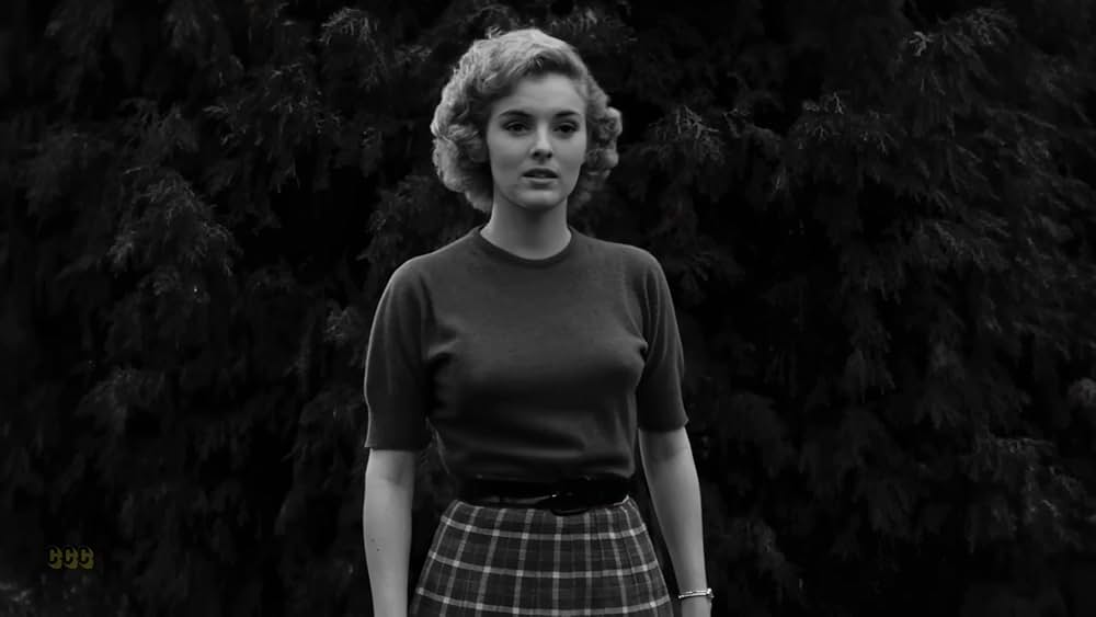 The Violent Years（原題）の画像