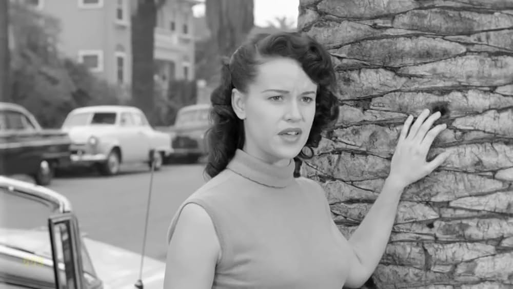 The Violent Years（原題）の画像