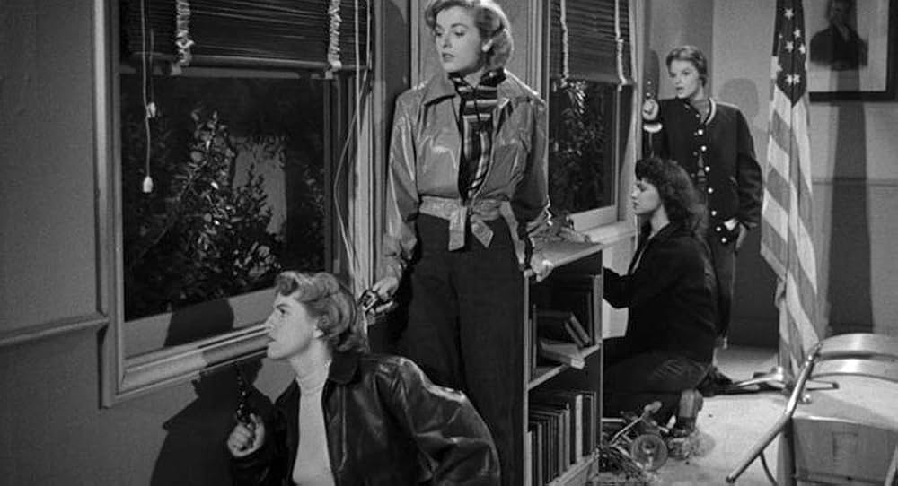 The Violent Years（原題）の画像