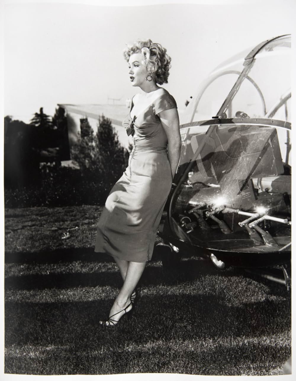 ナイアガラの画像