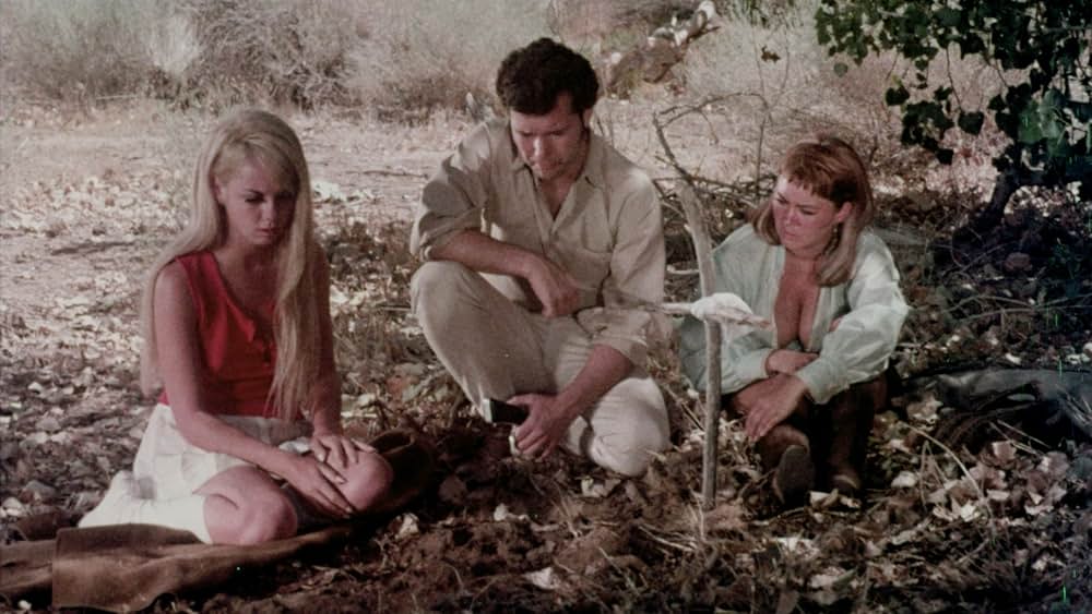 The Bushwhacker（原題）の画像