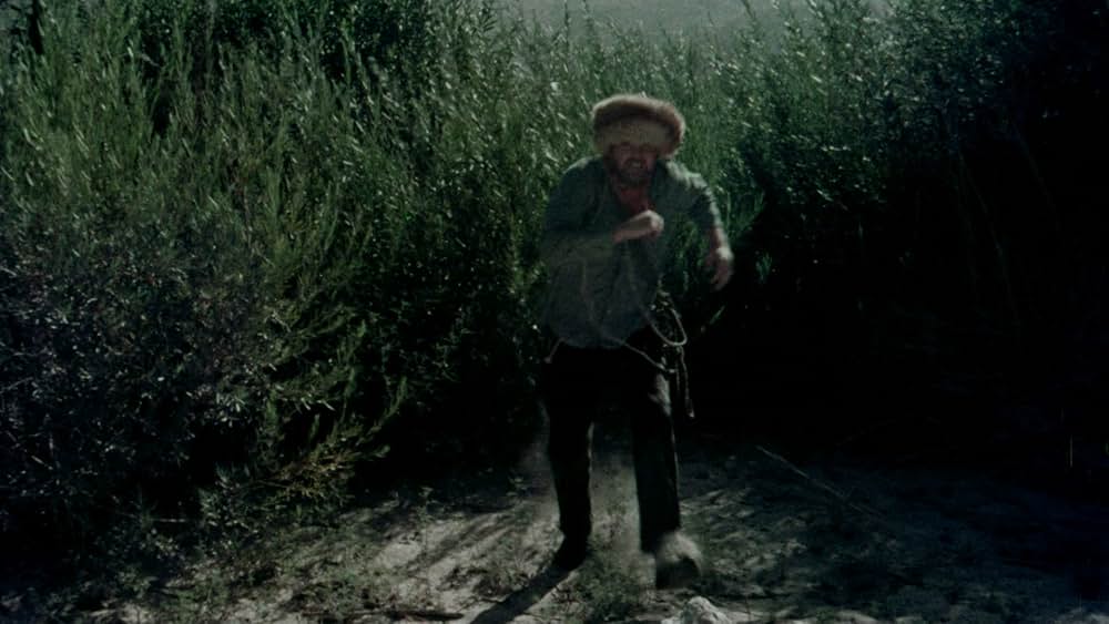 The Bushwhacker（原題）の画像