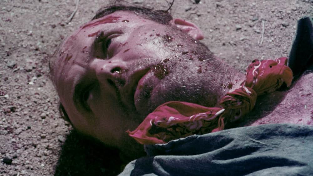 The Bushwhacker（原題）の画像