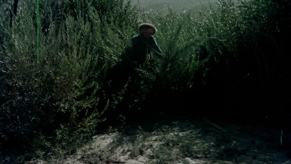 The Bushwhacker（原題）の画像