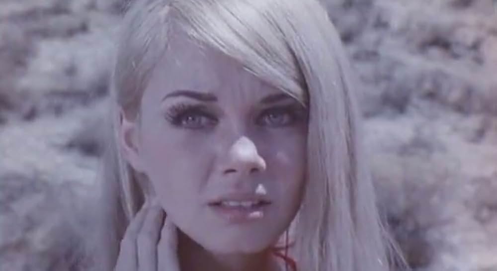 The Bushwhacker（原題）の画像