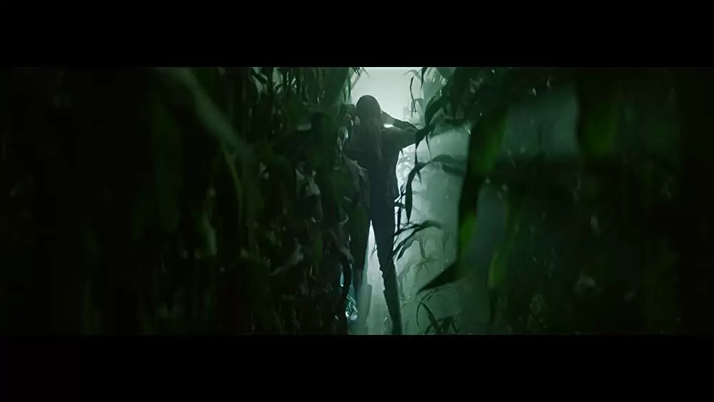 ダークライトの画像