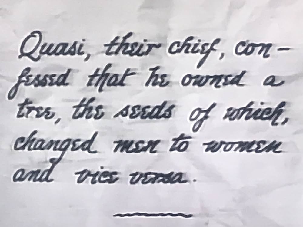 A Florida Enchantment（原題）の画像