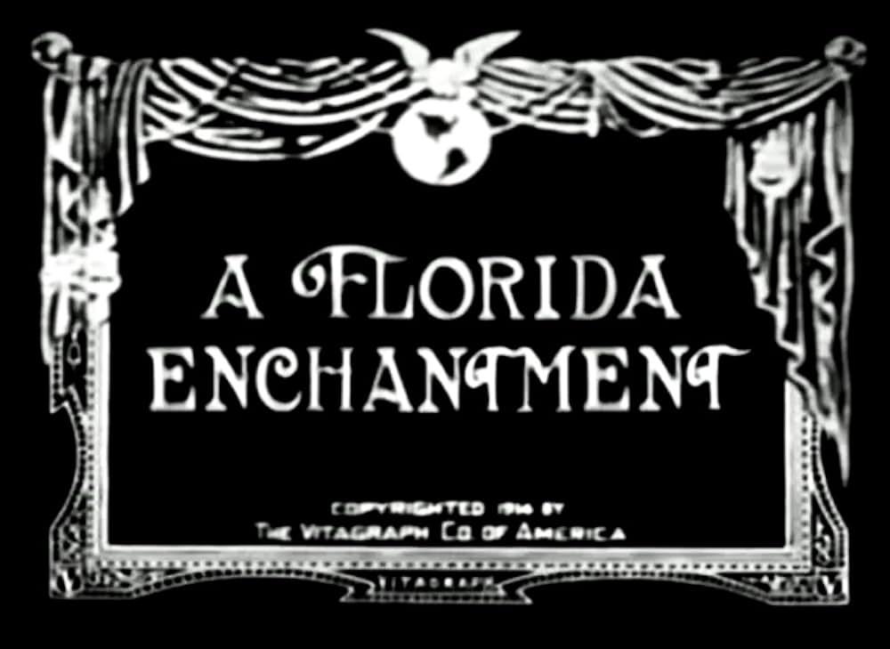 A Florida Enchantment（原題）の写真