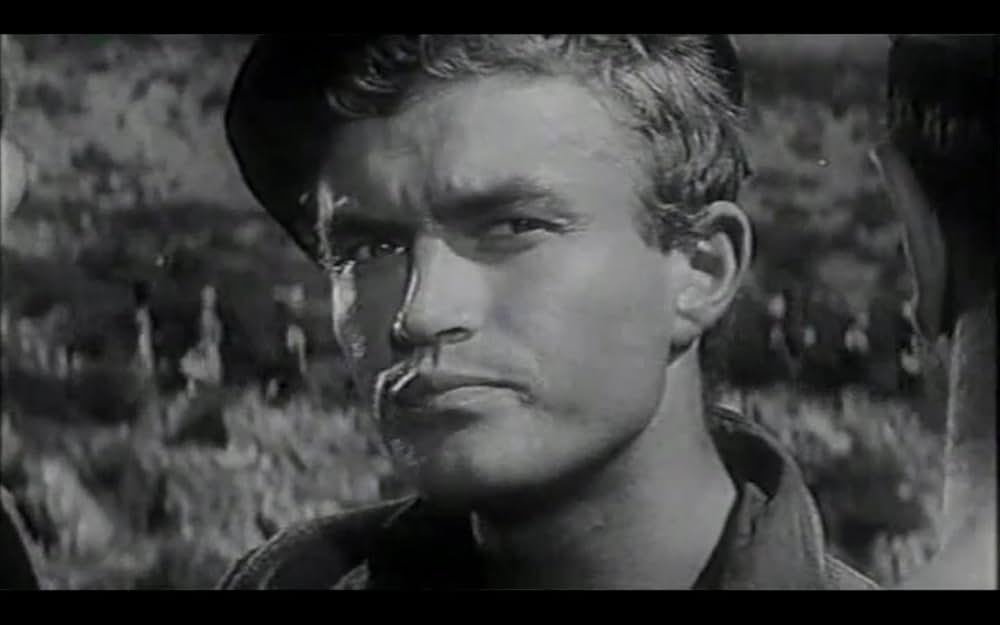 La strada lunga un anno（原題）の画像