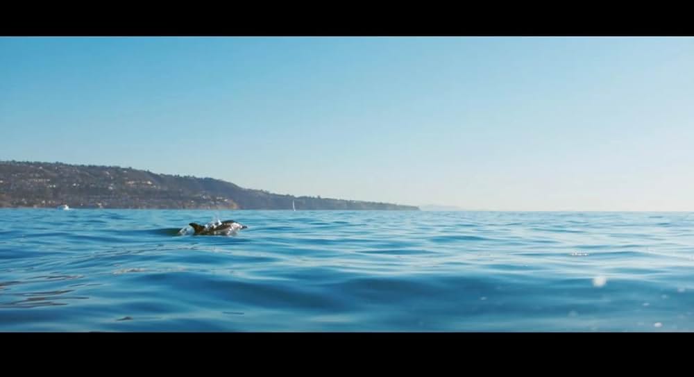 Age of Summer（原題）の画像