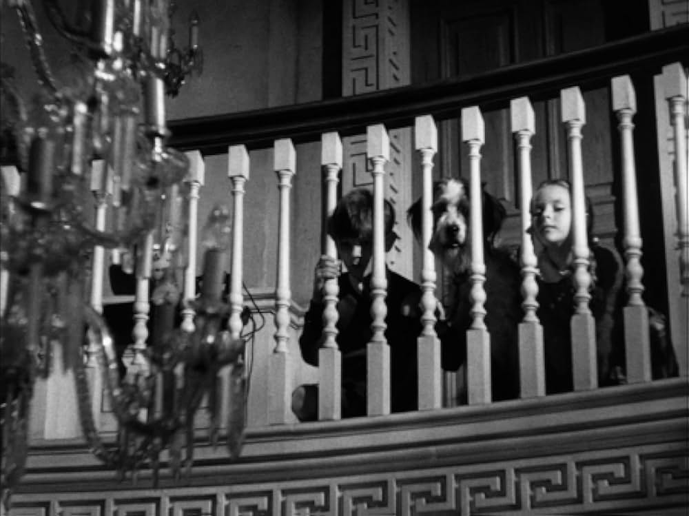 The Unseen（原題）の画像