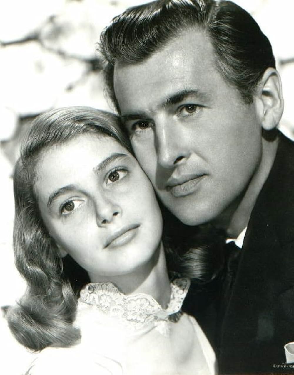 The Light Touch（原題）の画像