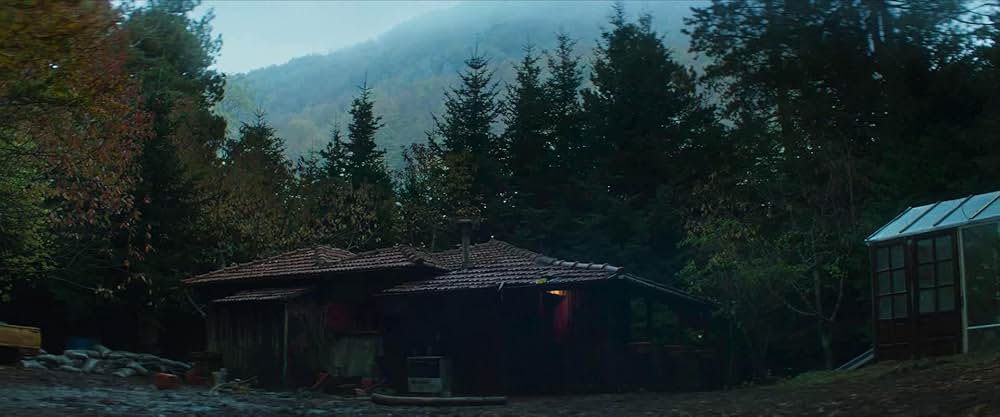 Digger（原題）の画像