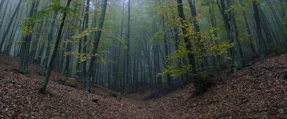 Digger（原題）の画像