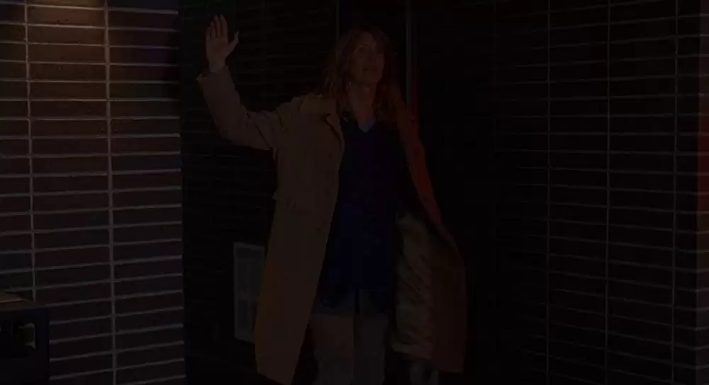 「ライフ・ゴーズ・オン 彼女たちの選択」ローラ・ダーンの画像