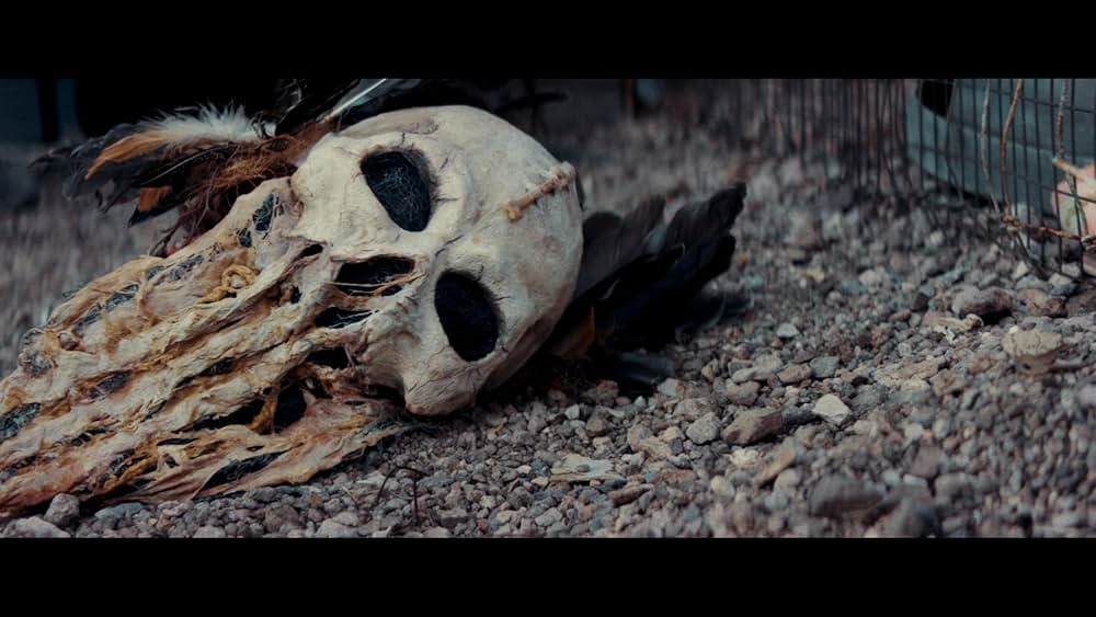 ブルート 1976の画像