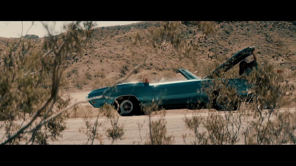 ブルート 1976の画像