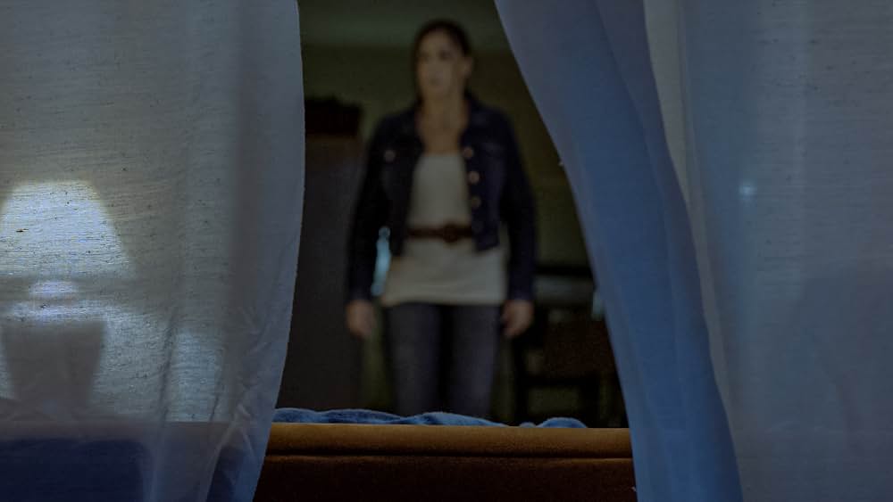 The Visitors（原題）の画像