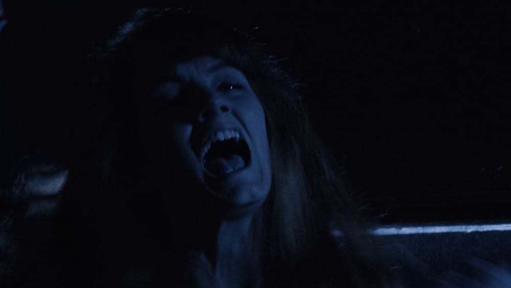 The Visitors（原題）の画像