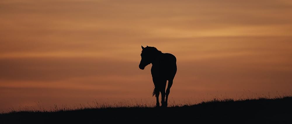 Eastern Western（原題）の画像