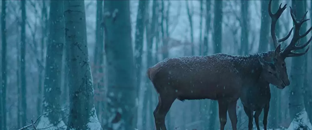 心と体との画像