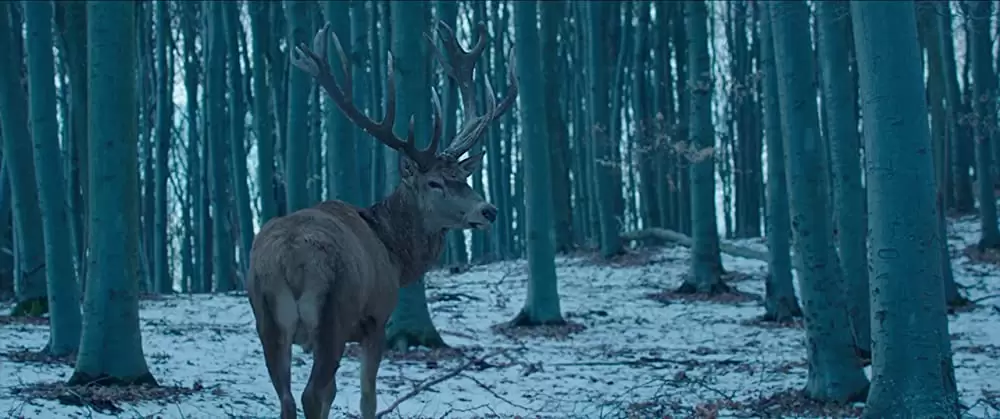 心と体との画像