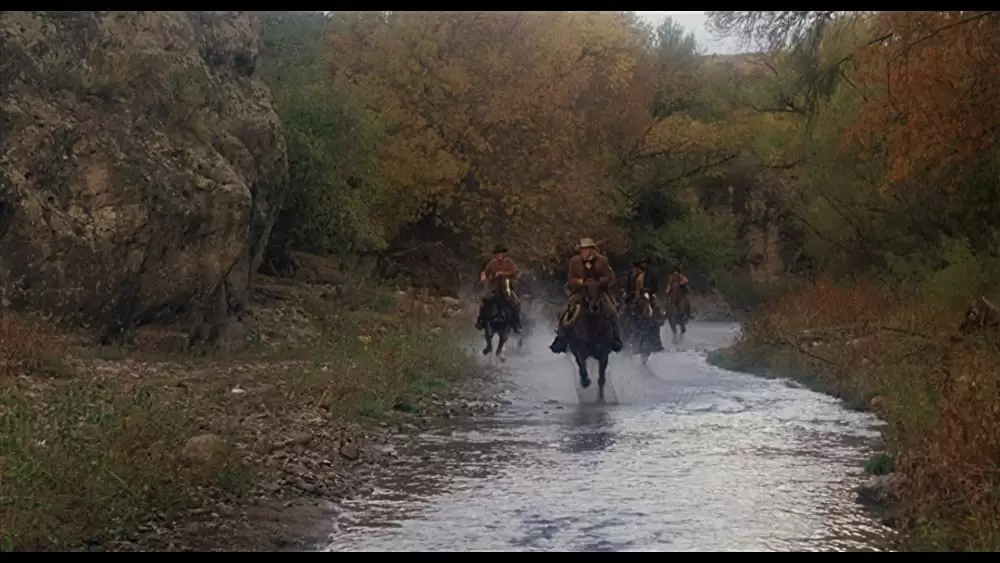 フリスコ・キッドの画像