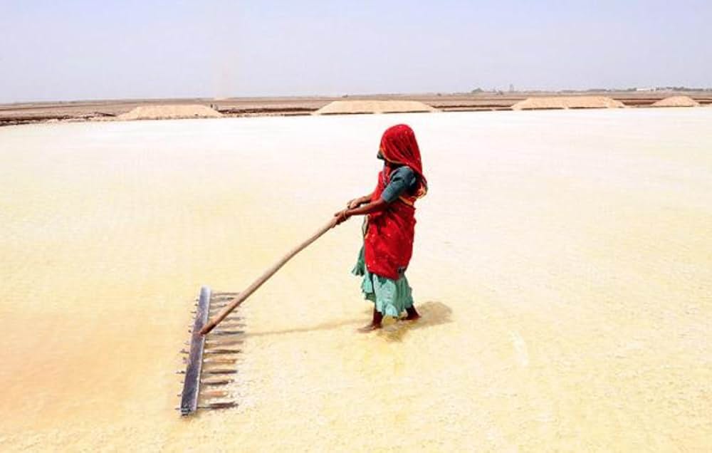 私の名は、塩の画像