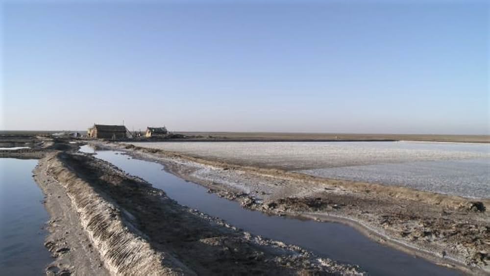 私の名は、塩の画像