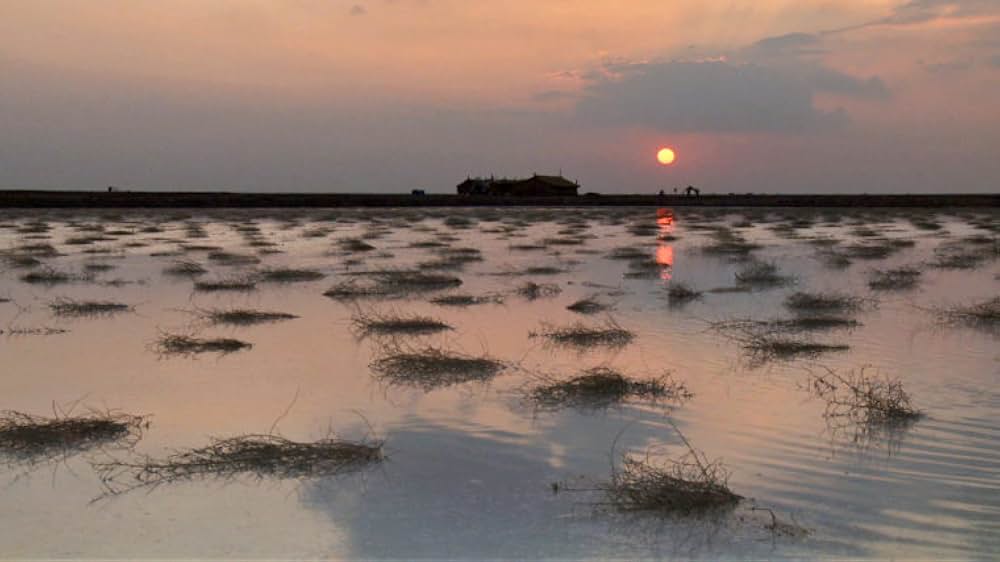 私の名は、塩の画像
