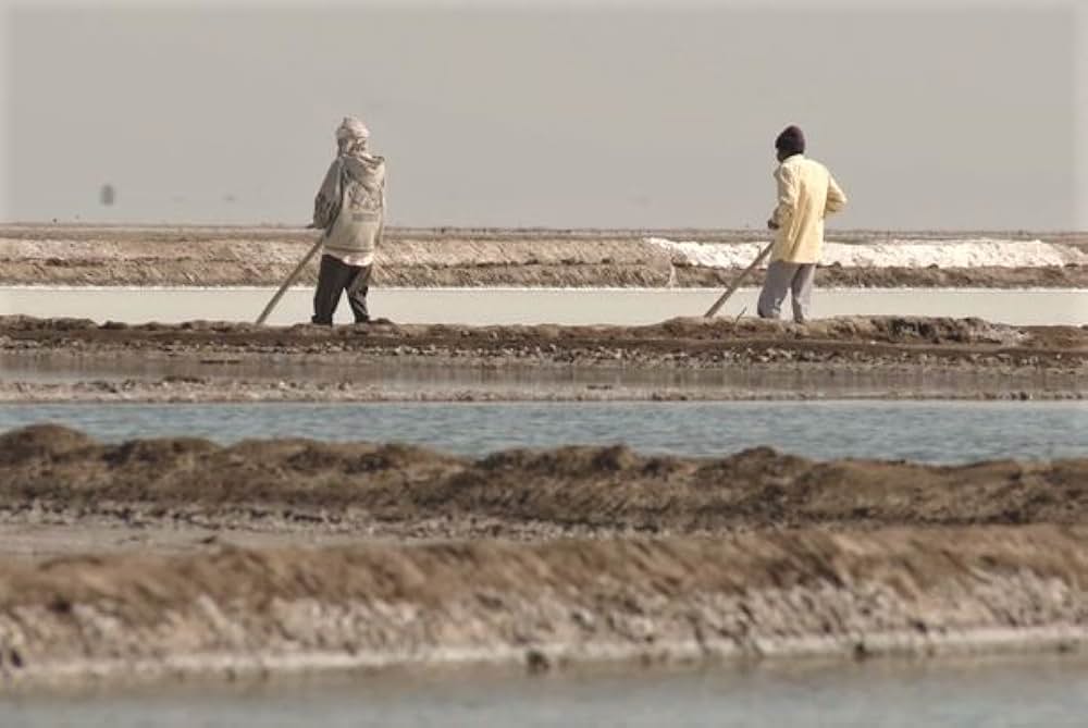 私の名は、塩の画像