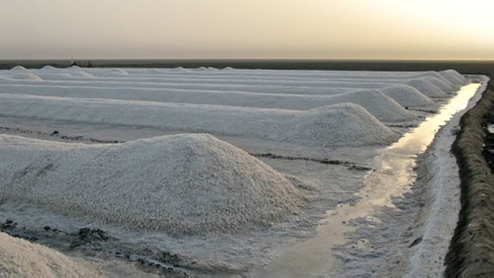 私の名は、塩の画像