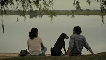 アカシアの通る道の画像