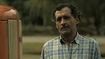 アカシアの通る道の画像