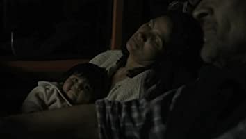 アカシアの通る道の画像