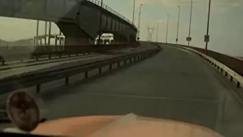 アカシアの通る道の画像