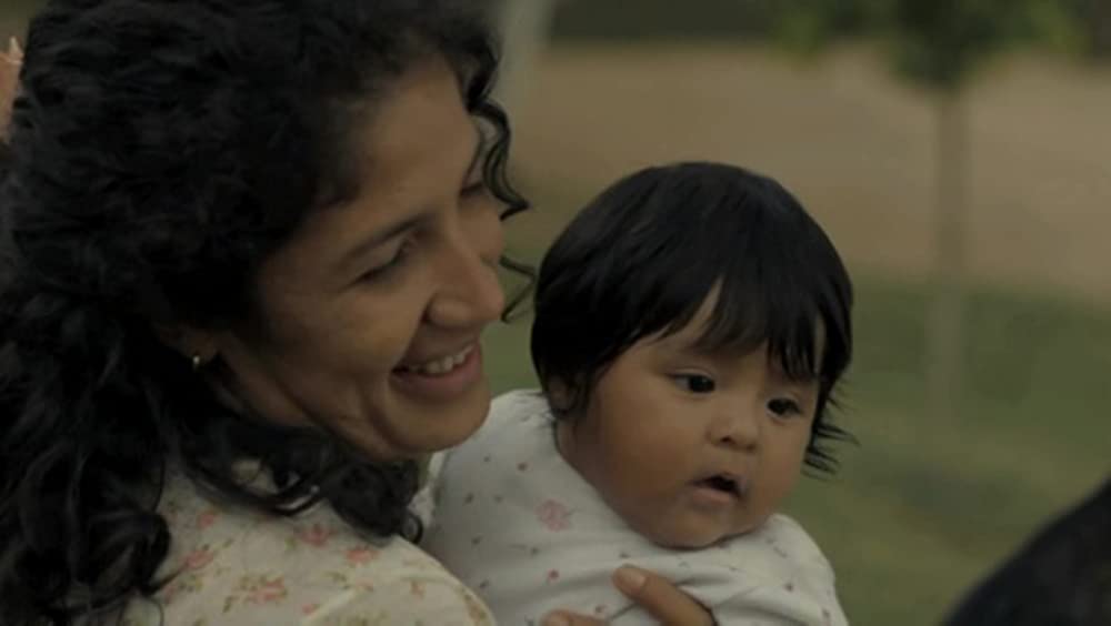 アカシアの通る道の画像