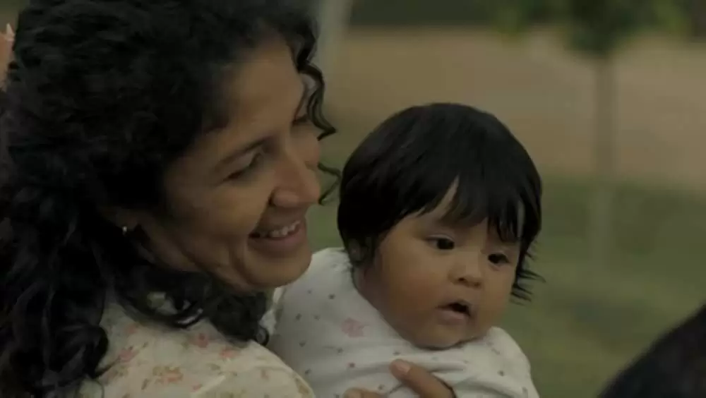 アカシアの通る道の画像