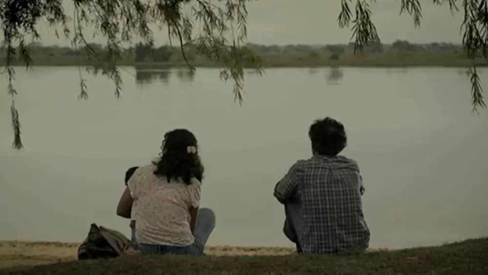 アカシアの通る道の画像