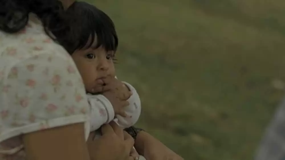 アカシアの通る道の画像