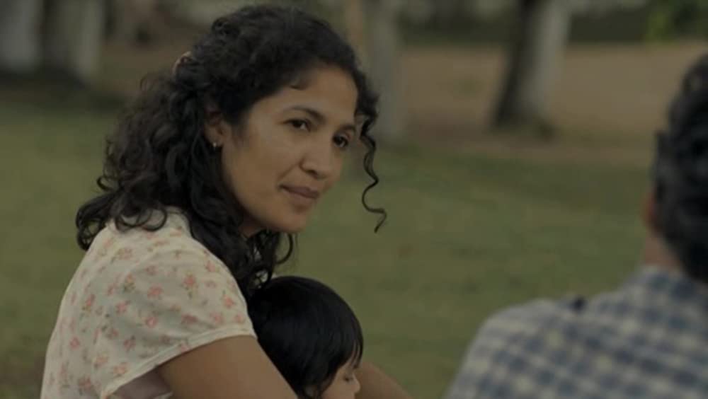 アカシアの通る道の画像