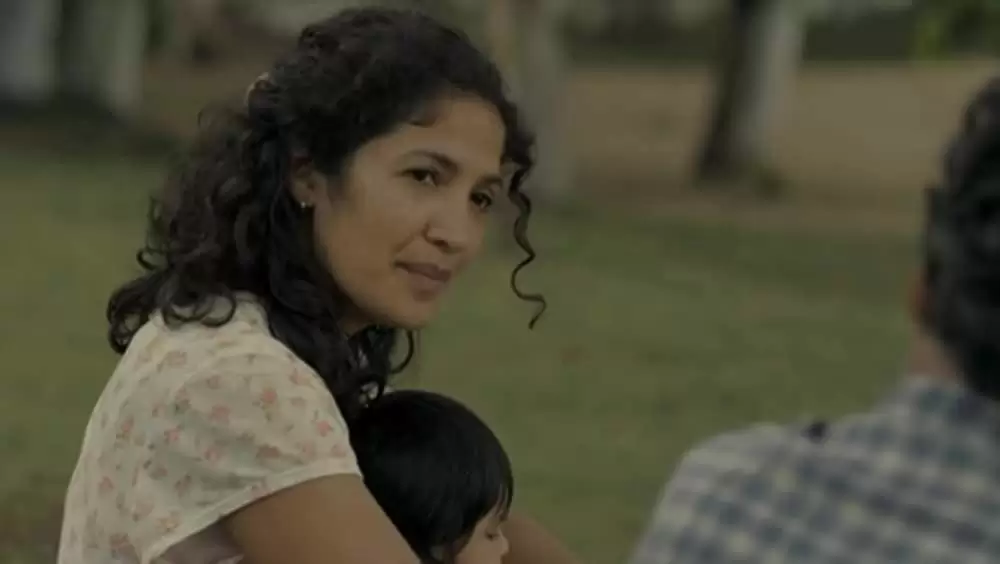 アカシアの通る道の画像