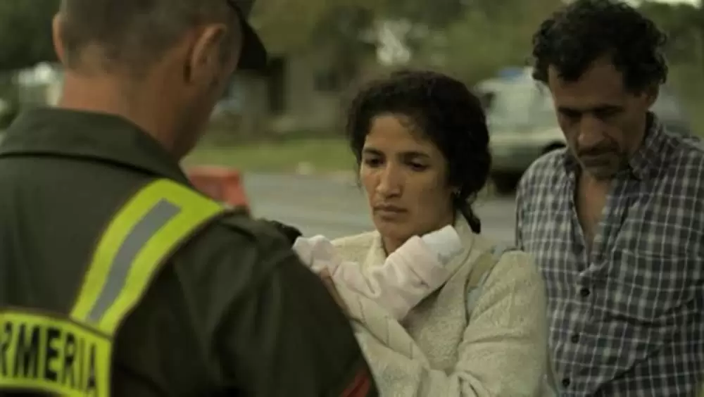 アカシアの通る道の画像