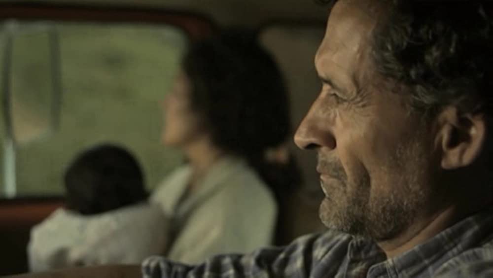 アカシアの通る道の画像