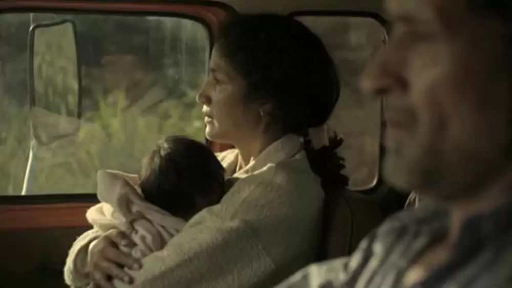 アカシアの通る道の画像