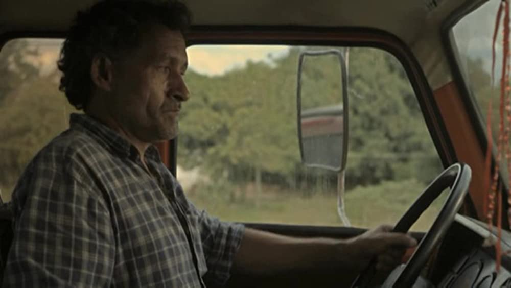 アカシアの通る道の画像