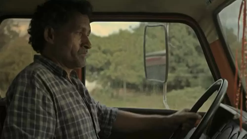 アカシアの通る道の画像