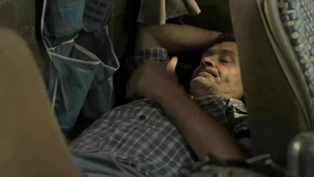 アカシアの通る道の画像