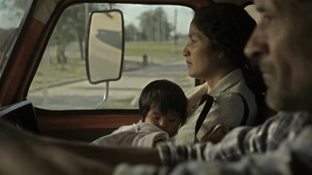 アカシアの通る道の画像